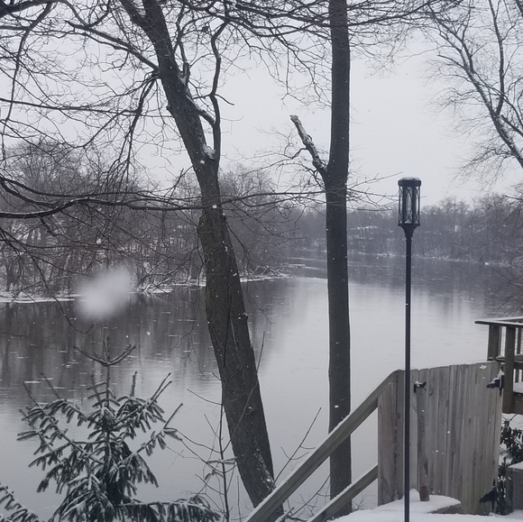 Kelly - Picture 7 of 11